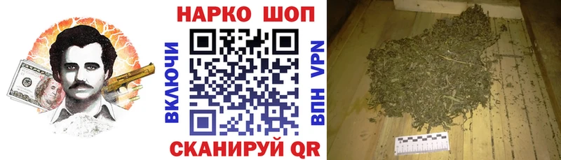 МЕФ Северская