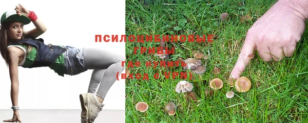 МДМА Дмитровск