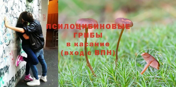 гашишное масло Дмитров