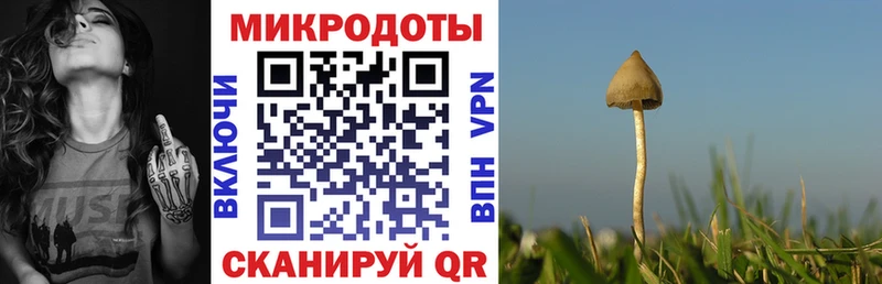 Галлюциногенные грибы прущие грибы  Северская 