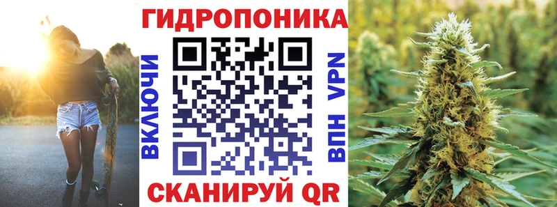 цена наркотик  это Telegram  Бошки Шишки план  Северская 